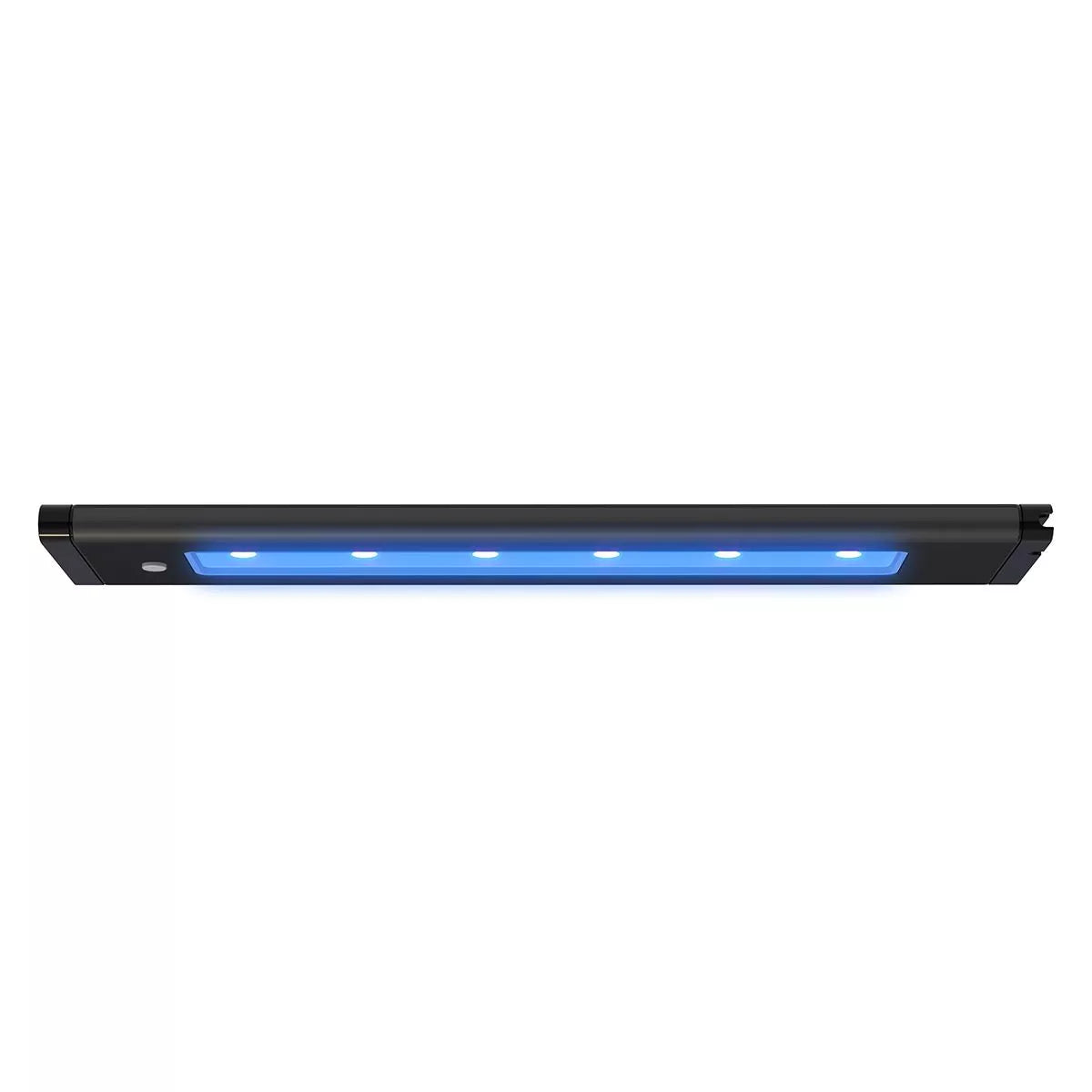 AquaIllumination Blade Coral Grow 21" - The Pet Source