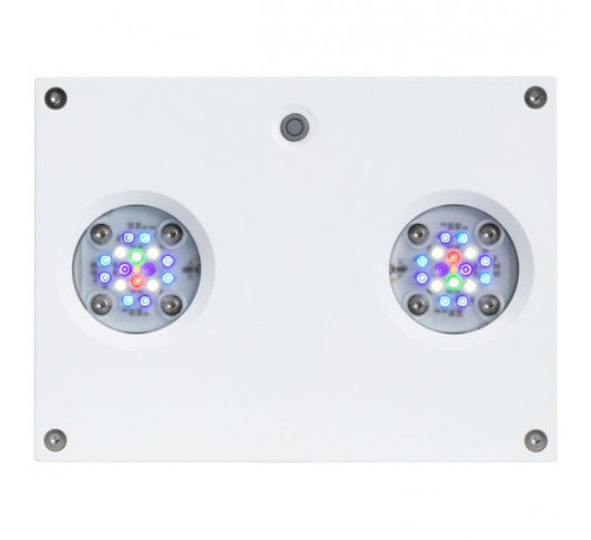 AquaIllumination AI Hydra 32HD LED Light Fixture - White - The Pet Source