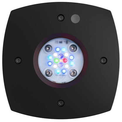 AquaIllumination AI Prime 16HD LED Light Fixture - Black - The Pet Source