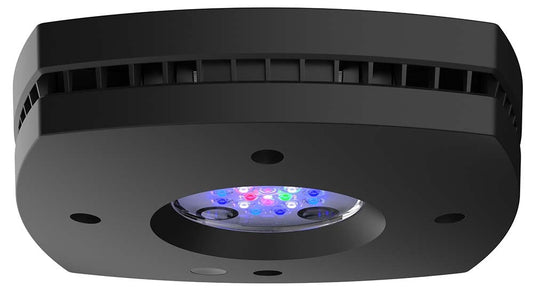 AquaIllumination AI Prime 16HD LED Light Fixture - Black - The Pet Source