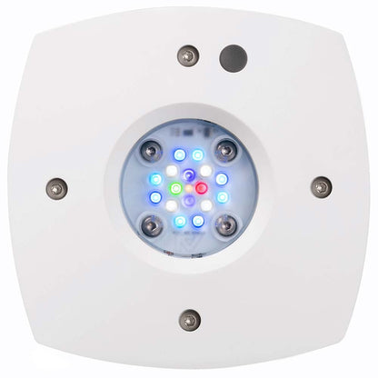 AquaIllumination AI Prime 16HD LED Light Fixture - White - The Pet Source