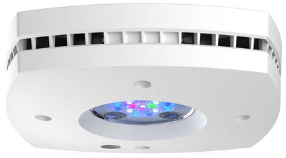 AquaIllumination AI Prime 16HD LED Light Fixture - White - The Pet Source