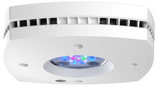 AquaIllumination AI Prime 16HD LED Light Fixture - White - The Pet Source