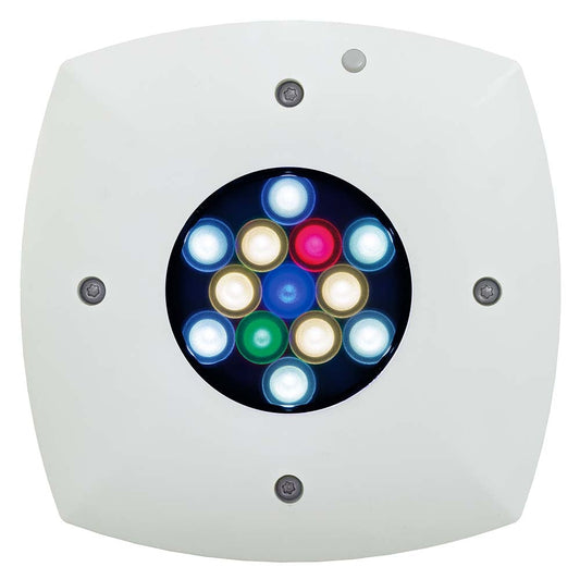 AquaIllumination Prime 16 LED Light Freshwater - White - The Pet Source