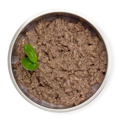 Big Country Raw Fish Dinner Carton Raw Frozen Dog Food - 4lb - The Pet Source