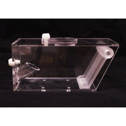 Bubble Magus Pest Trap - The Pet Source