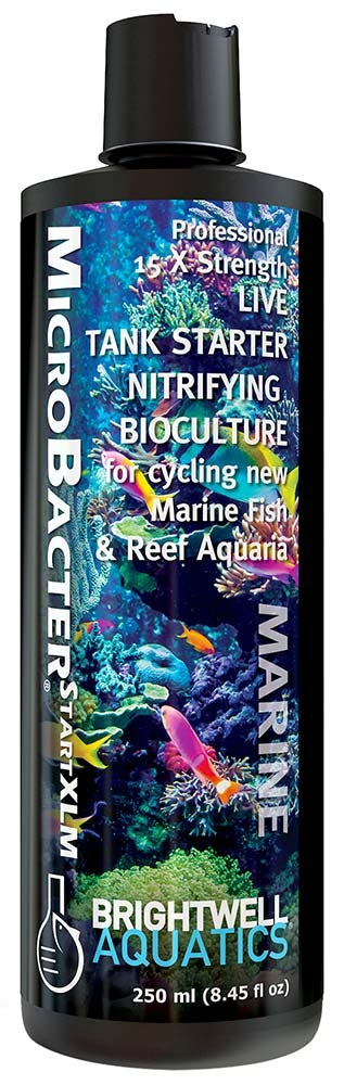 Brightwell Aquatics MicroBacter Start XLM - 250ml - The Pet Source