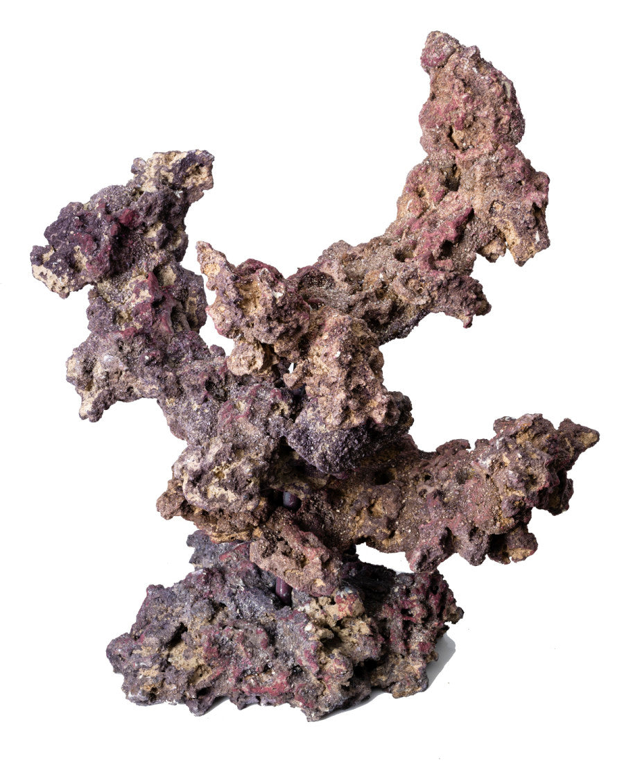 CaribSea LifeRock Reef Tree with Arches - One Size - The Pet Source