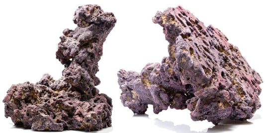 CaribSea Caribbean LifeRock Shrooms - 2 Pack - The Pet Source