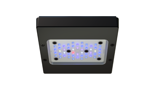 EcoTech Marine Radion XR15 Blue G6 Fixture - 100W - The Pet Source