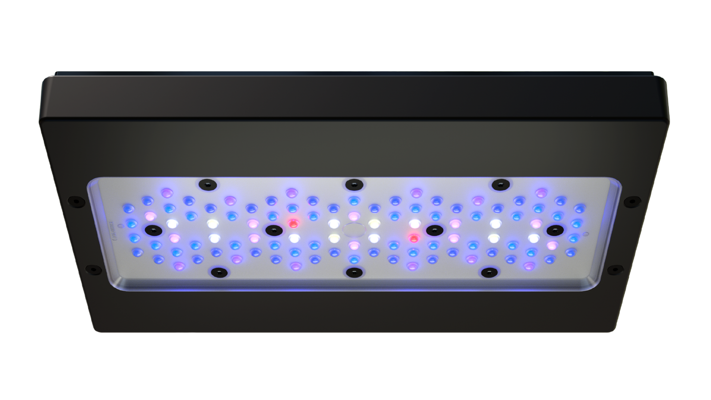 EcoTech Marine Radion XR30 Blue G6 Fixture - 205W - The Pet Source