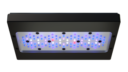 EcoTech Marine Radion XR30 Blue G6 Fixture - 205W - The Pet Source