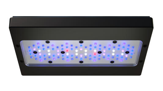 EcoTech Marine Radion XR30 Blue G6 Fixture - 205W - The Pet Source
