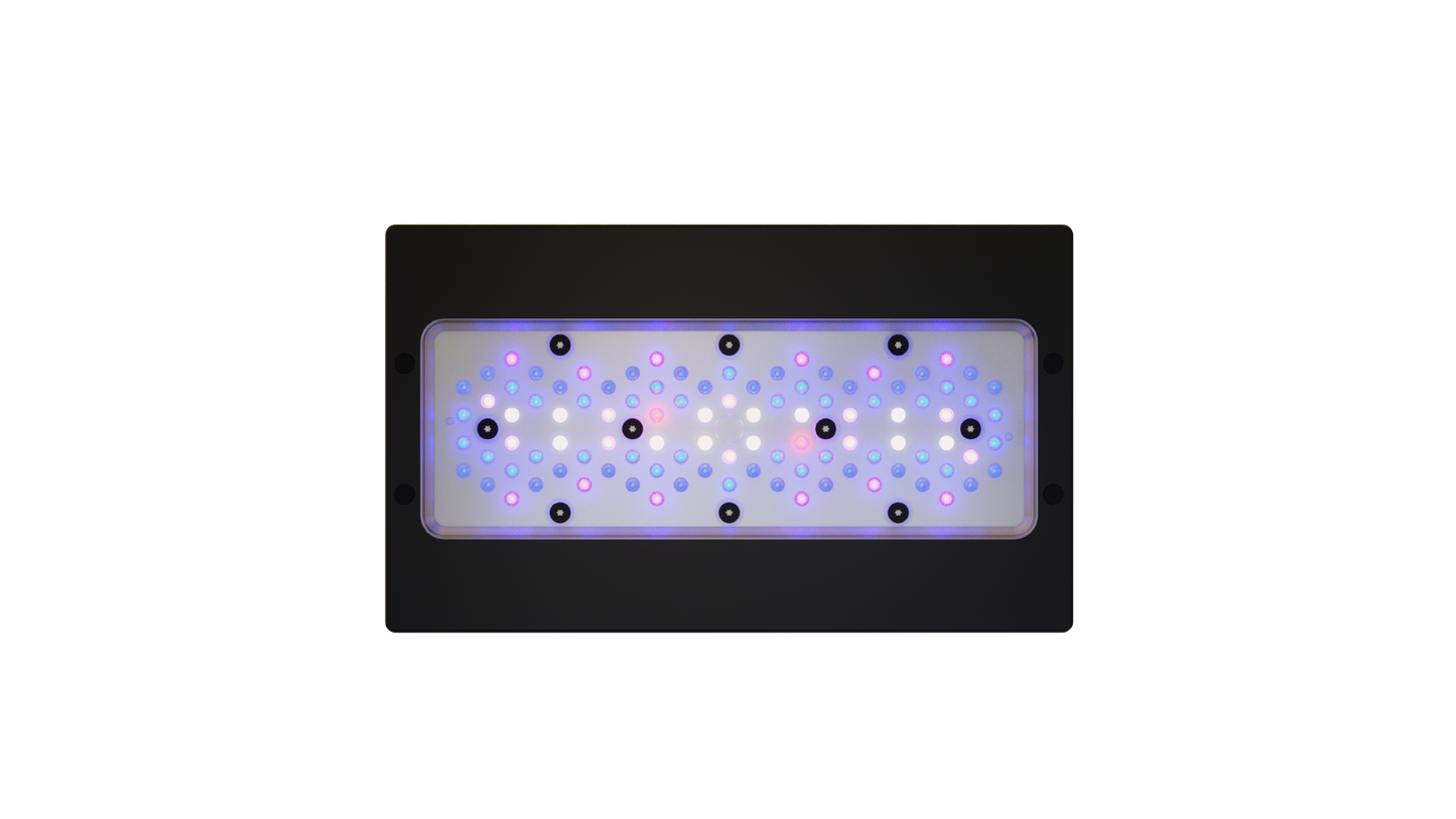 EcoTech Marine Radion XR30 Blue G6 Fixture - 205W - The Pet Source
