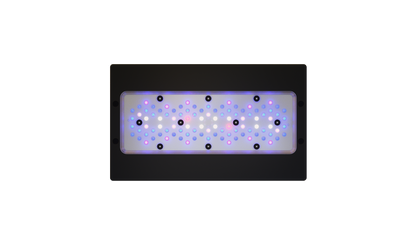 EcoTech Marine Radion XR30 Blue G6 Fixture - 205W - The Pet Source