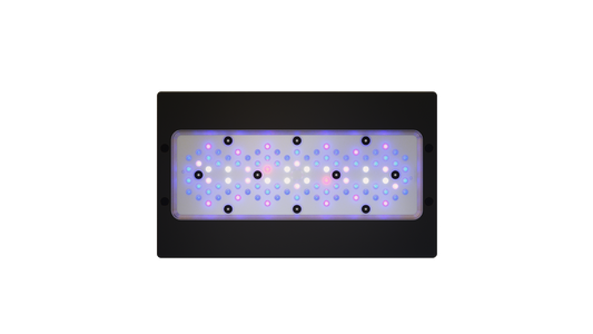 EcoTech Marine Radion XR30 Blue G6 Fixture - 205W - The Pet Source