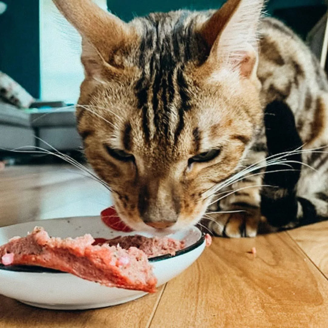 Faim Museau Duck & Beef Raw Frozen Cat Food - 6lb - The Pet Source