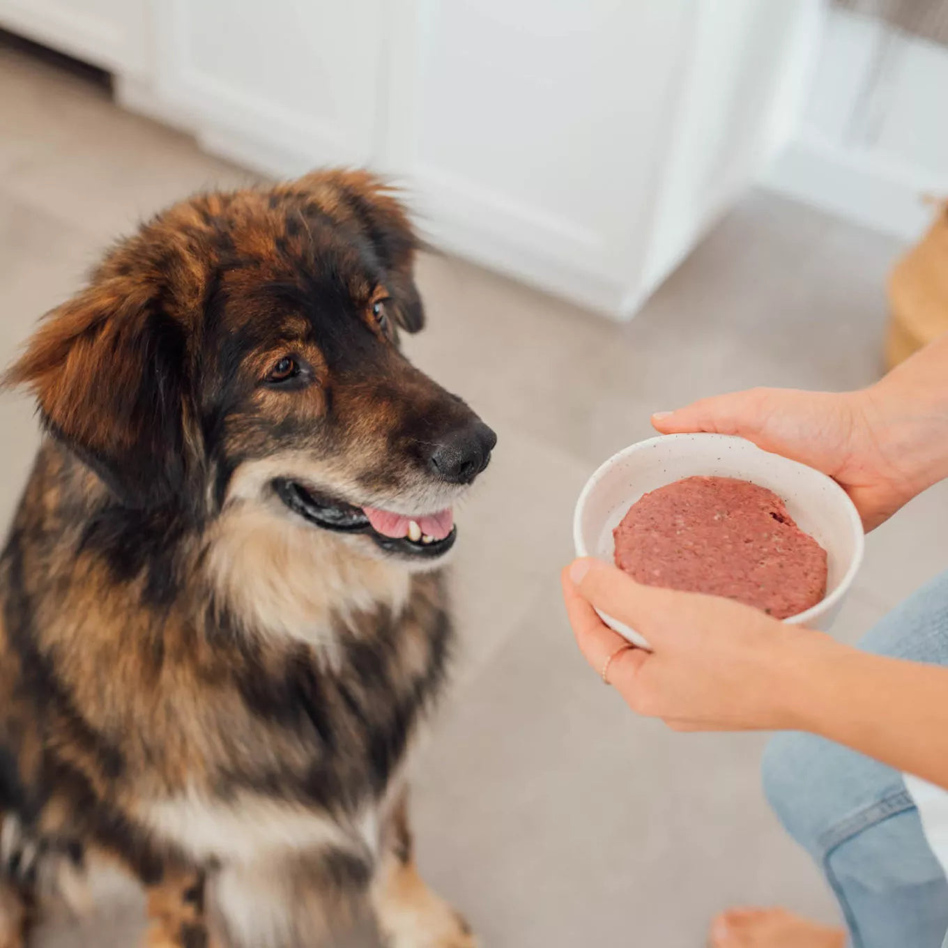 Faim Museau Duck & Lamb Raw Frozen Dog Food - 6lb - The Pet Source