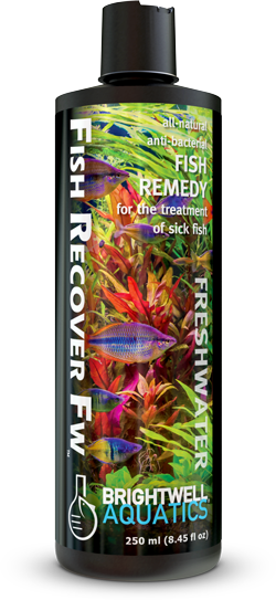 Brightwell Fish Recover Fw- 500 ml - The Pet Source