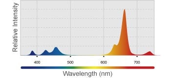 Kessil LED Grow Light H80 Tuna Flora - The Pet Source