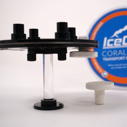 IceCap Coral Frag Transport Container - 8 Plugs - The Pet Source