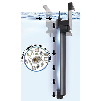 Innovative Marine AUQA Shield UV Sterilizer Desktop - 9W - The Pet Source