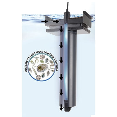 Innovative Marine AUQA Shield UV Sterilizer Midsize - 11W - The Pet Source