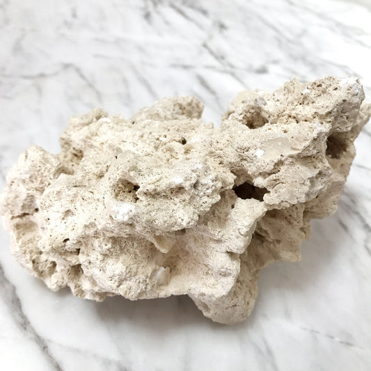 Marco ReefSaver Rock - By the pound - The Pet Source