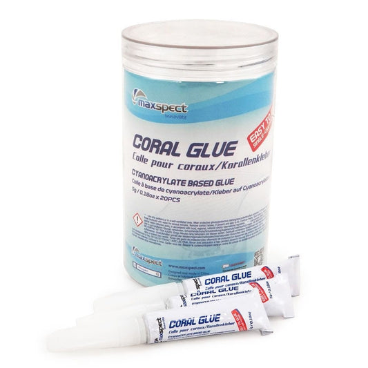 Maxspect Coral Glue 5g Jar (20pcs) - The Pet Source
