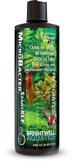Brightwell Aquatics MicroBacter Start XLF - 250ml - The Pet Source