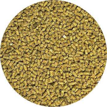 Zoo Med Natural Bearded Dragon Food - Adult Formula 20 oz - The Pet Source