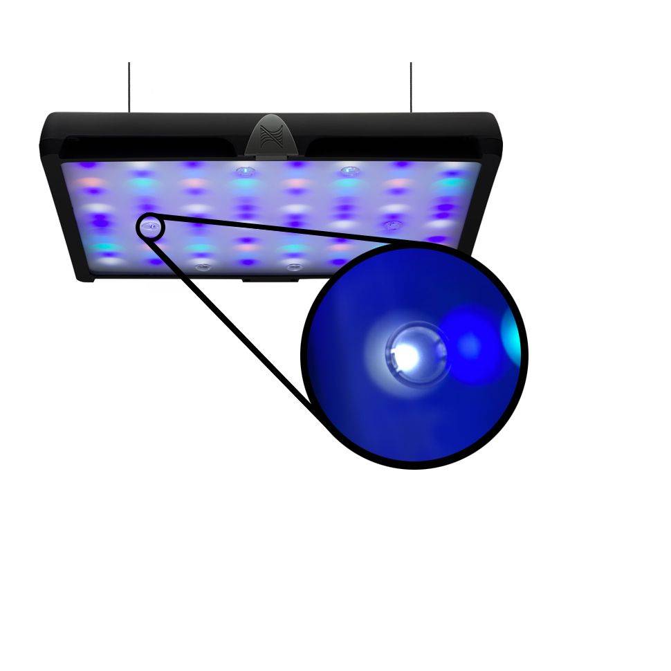 Neptune Systems SKY Shimz Light Diffuser - The Pet Source