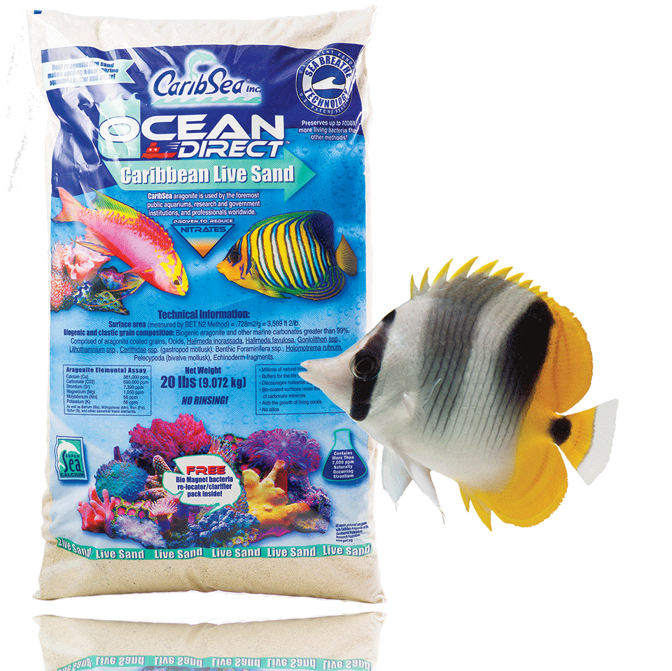 CaribSea Ocean Direct Live Sand Original Grade - 20lb - The Pet Source
