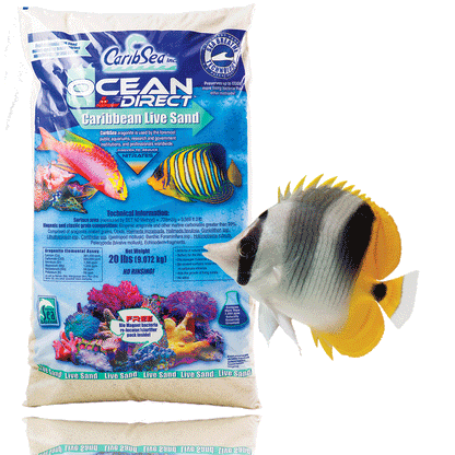 CaribSea Ocean Direct Live Sand Original Grade - 20lb - The Pet Source