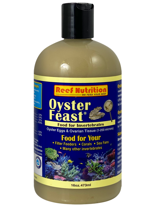 Reef Nutrition Oyster Feast - 16oz - The Pet Source