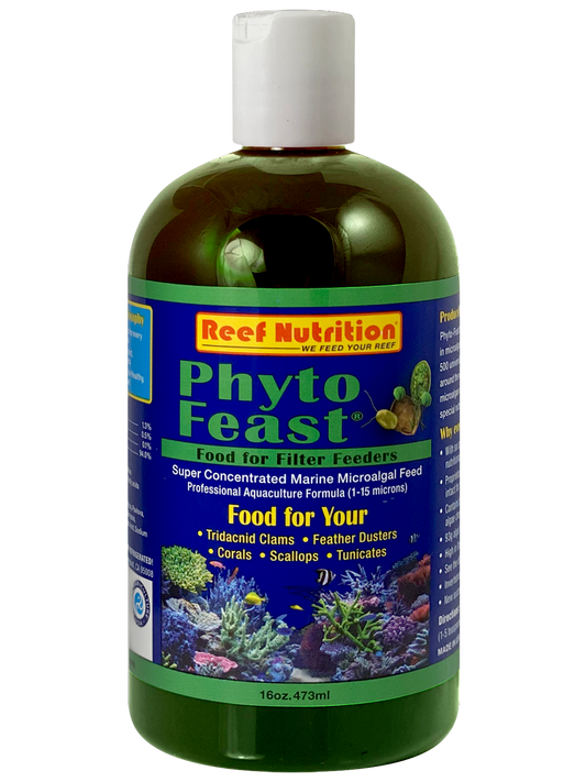 Reef Nutrition Phyto-Feast Live - 16oz - The Pet Source