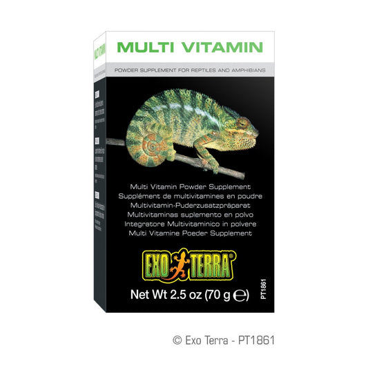 Exo Terra Multi Vitamin Powder Supplement - 1.1 oz - 30 g - The Pet Source