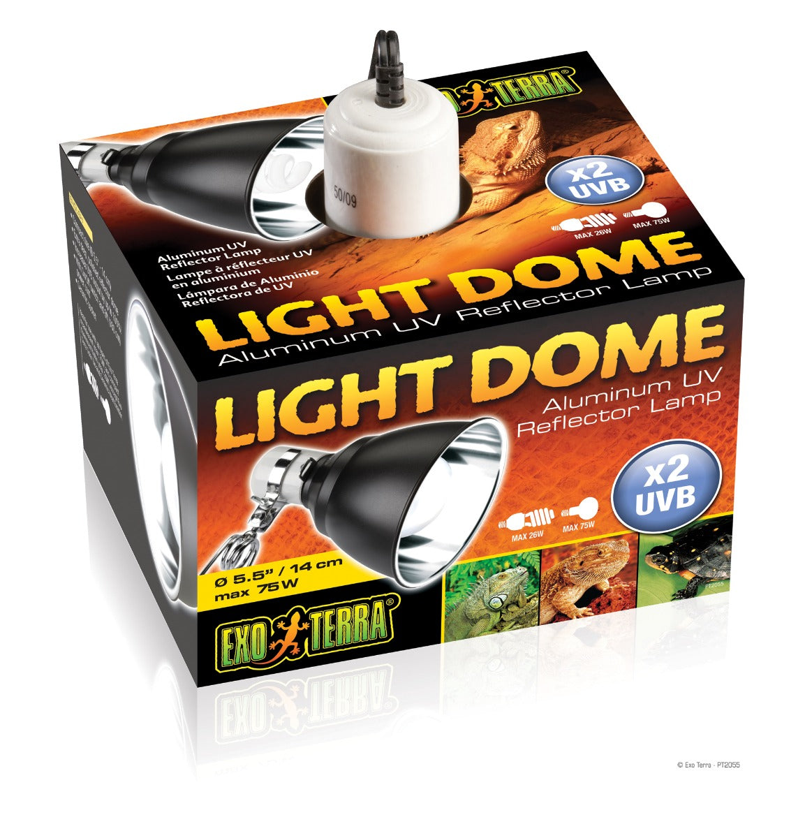 Exo Terra Light Dome - 14 cm (5.5 in) - The Pet Source