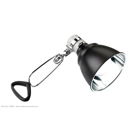 Exo Terra Light Dome - 14 cm (5.5 in) - The Pet Source