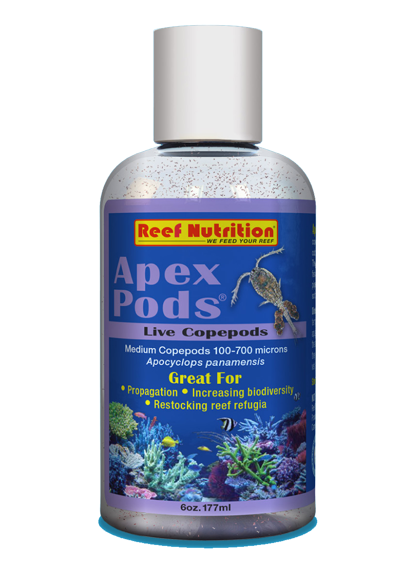 Reef Nutrition Apex-Pods ‐ Live Apocyclops panamensis copepods - 6oz - The Pet Source
