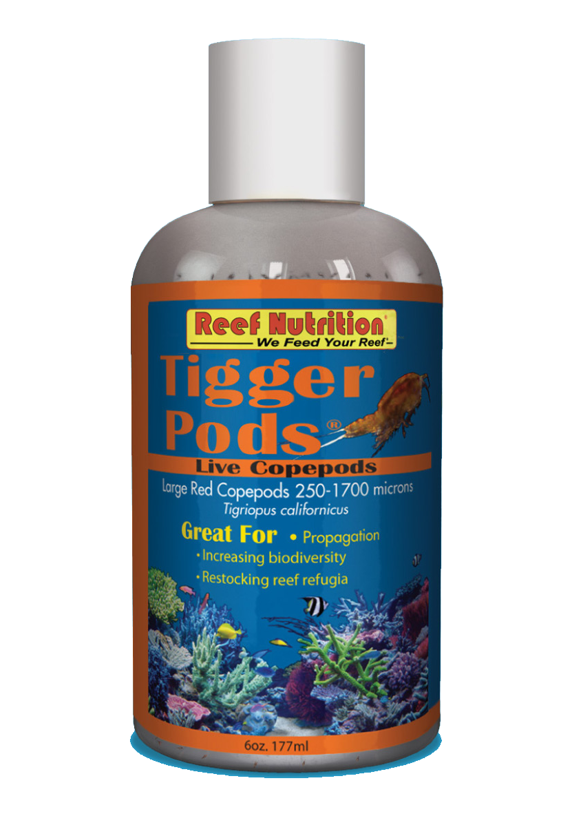 Reef Nutrition Tigger-Pods - Live Tigriopus californicus copepods - 6oz - The Pet Source
