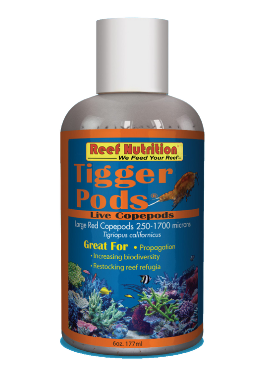 Reef Nutrition Tigger-Pods - Live Tigriopus californicus copepods - 6oz - The Pet Source