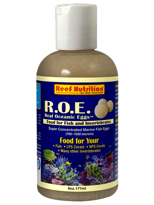 Reef Nutrition R.O.E. Real Oceanic Eggs - 6oz - The Pet Source