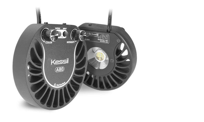 Kessil A80 Tuna Blue LED Light - The Pet Source