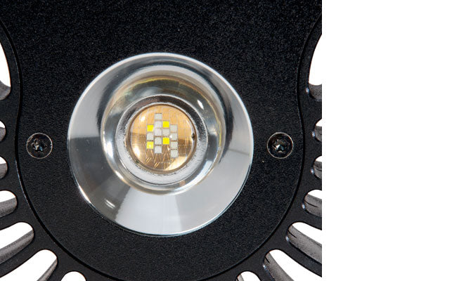 Kessil A80 Tuna Blue LED Light - The Pet Source
