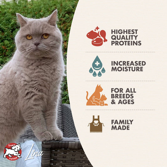 Fromm Four Star Chicken & Salmon Pâté Wet Cat Food - 155g - The Pet Source