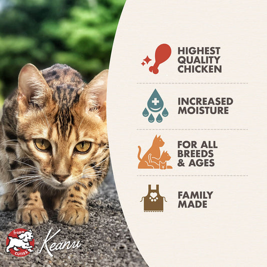 Fromm Four Star Chicken Pâté Wet Cat Food - 155g - The Pet Source