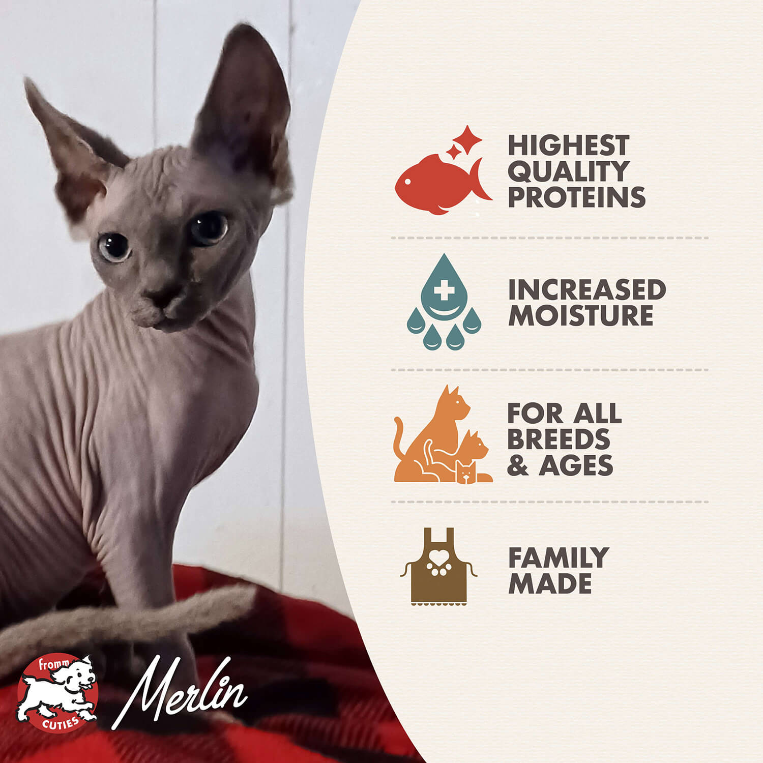 Fromm Four Star Salmon & Tuna Pâté Wet Cat Food - 155g - The Pet Source