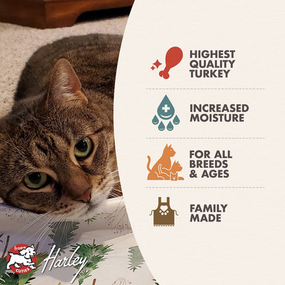 Fromm Four Star Turkey Pâté Wet Cat Food - 155g - The Pet Source