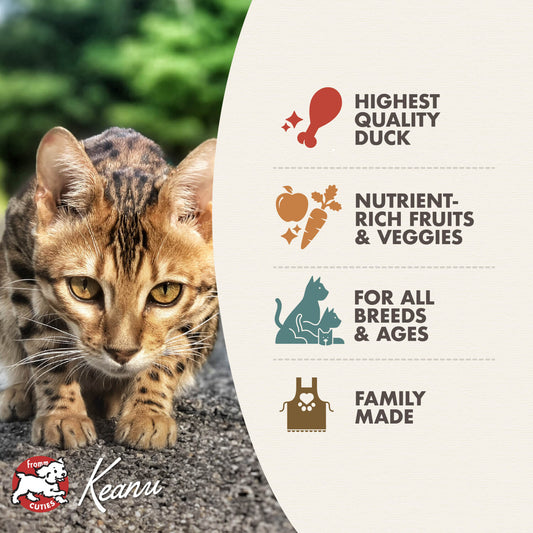 Fromm Duck À La Veg Recipe Dry Cat Food - 4.54kg - The Pet Source